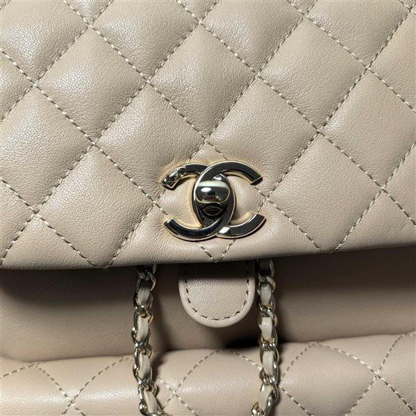 2026127213716229 730